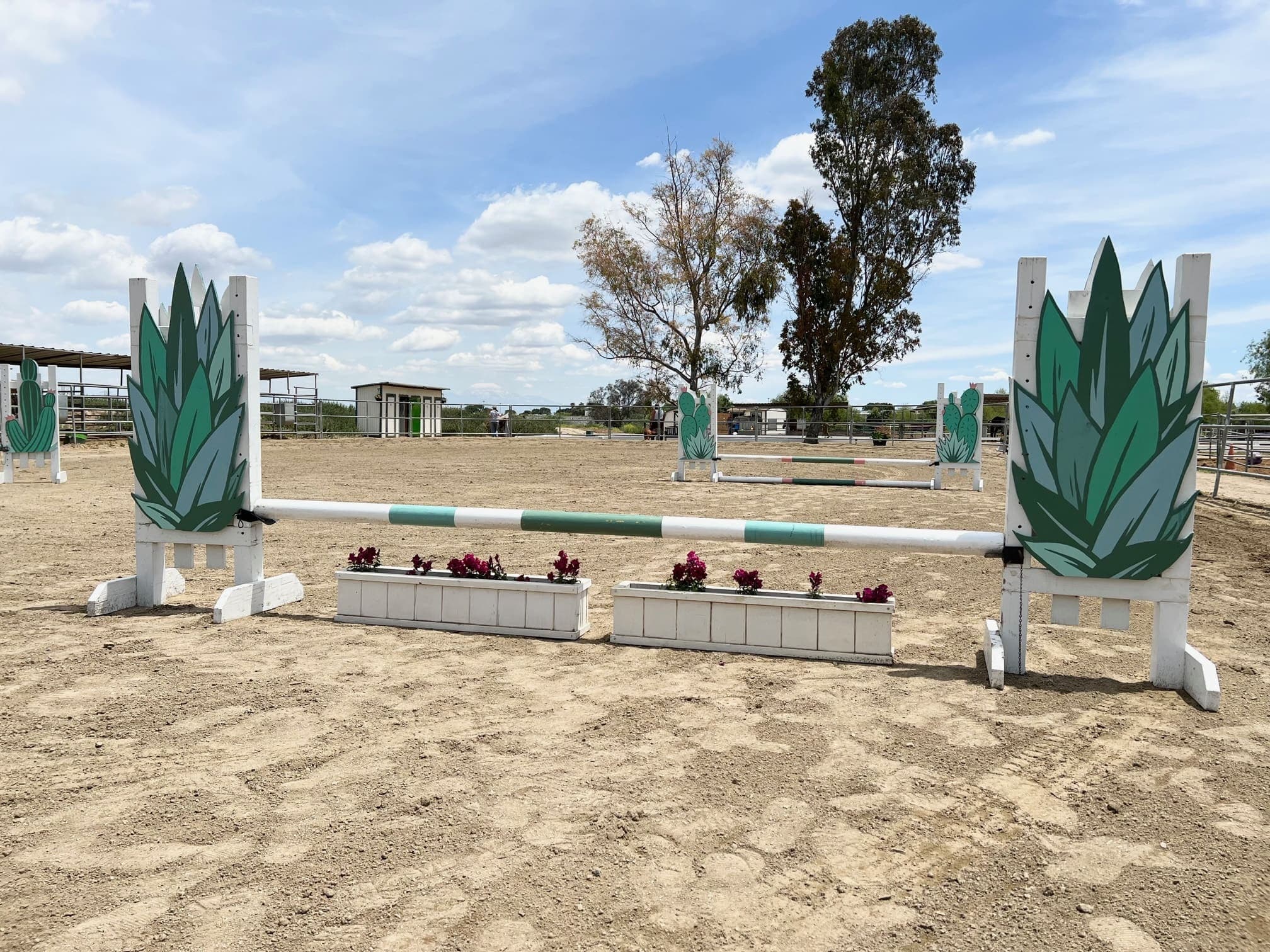 Show jumps with hand-painted agave and cactus standards in the jumping arena