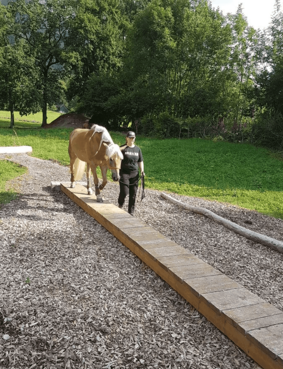 A handler leading a palomino across a long wooden bridge obstacle on a wood-chip course